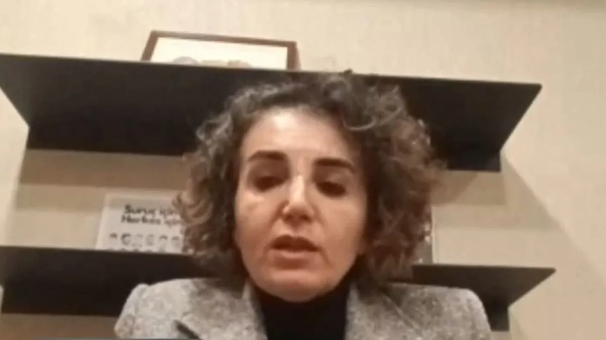 Türkiye’nin ‘Suriye’ hamleleri DEM’li vekili rahatsız etti: PKK’nın kanalında skandal sözler!